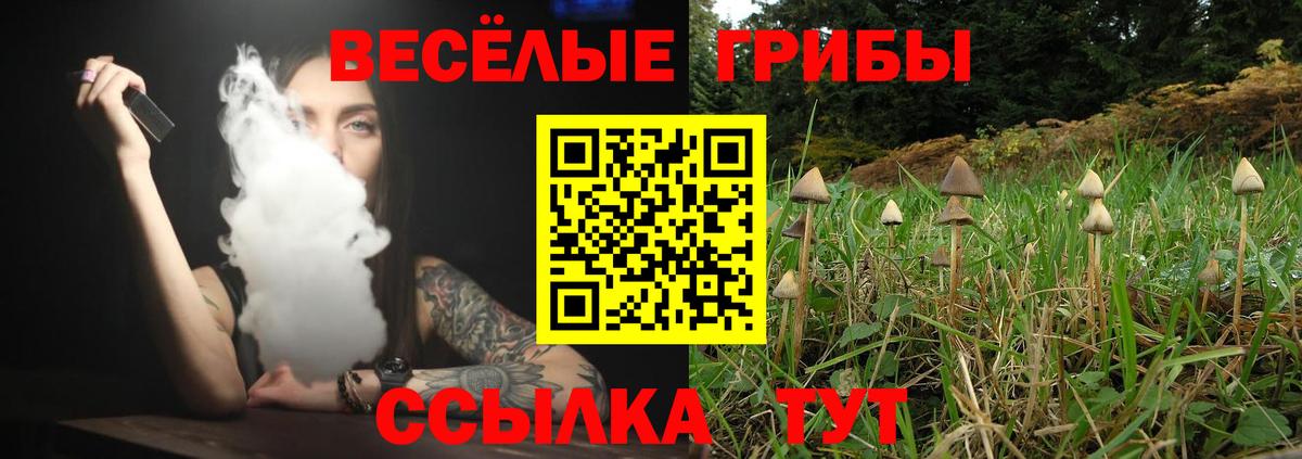 Псилоцибиновые грибы Magic Shrooms  Вход с VPN  Усть-Джегута 