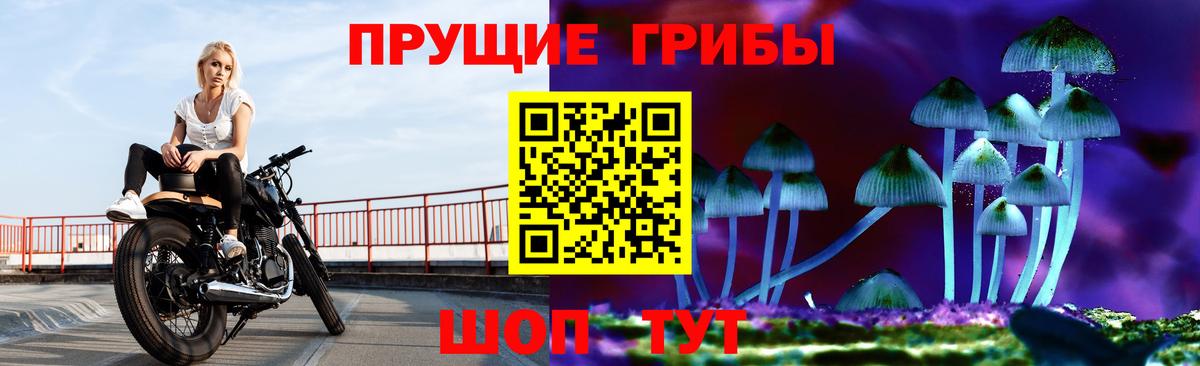Галлюциногенные грибы ЛСД Усть-Джегута